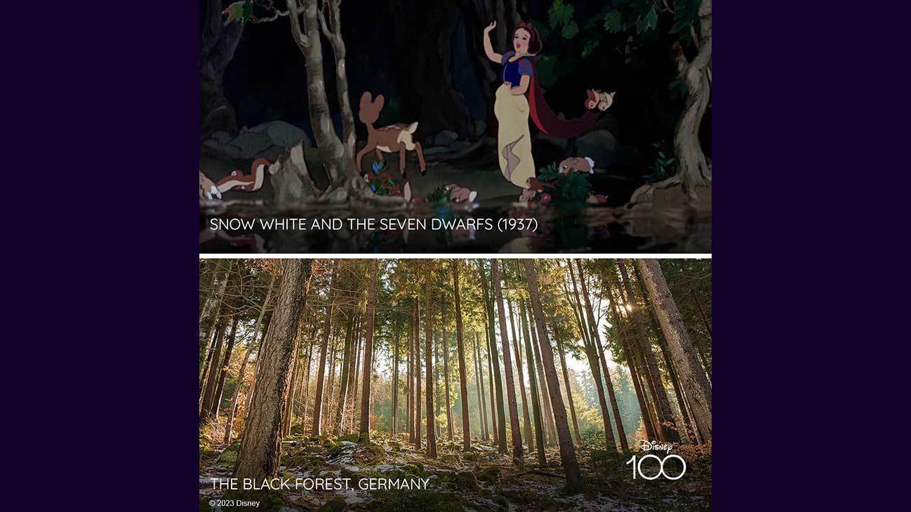 Scene from Snow White and the Seven Dwarfs (1937) and image of the Black Forest, Germany