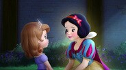 The Enchanted Feast