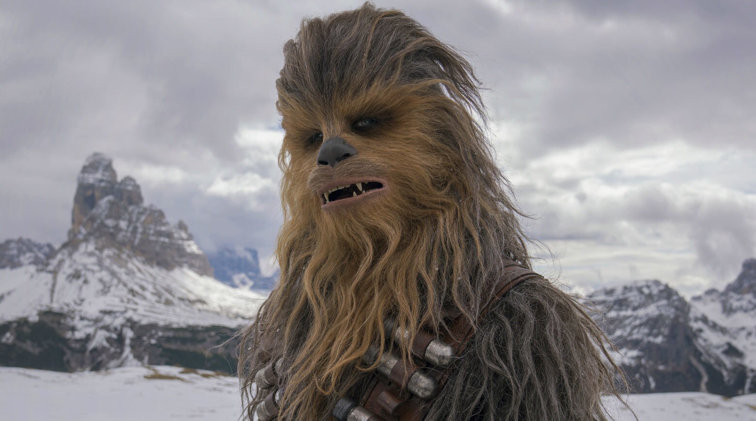  Chewbacca StarWars com