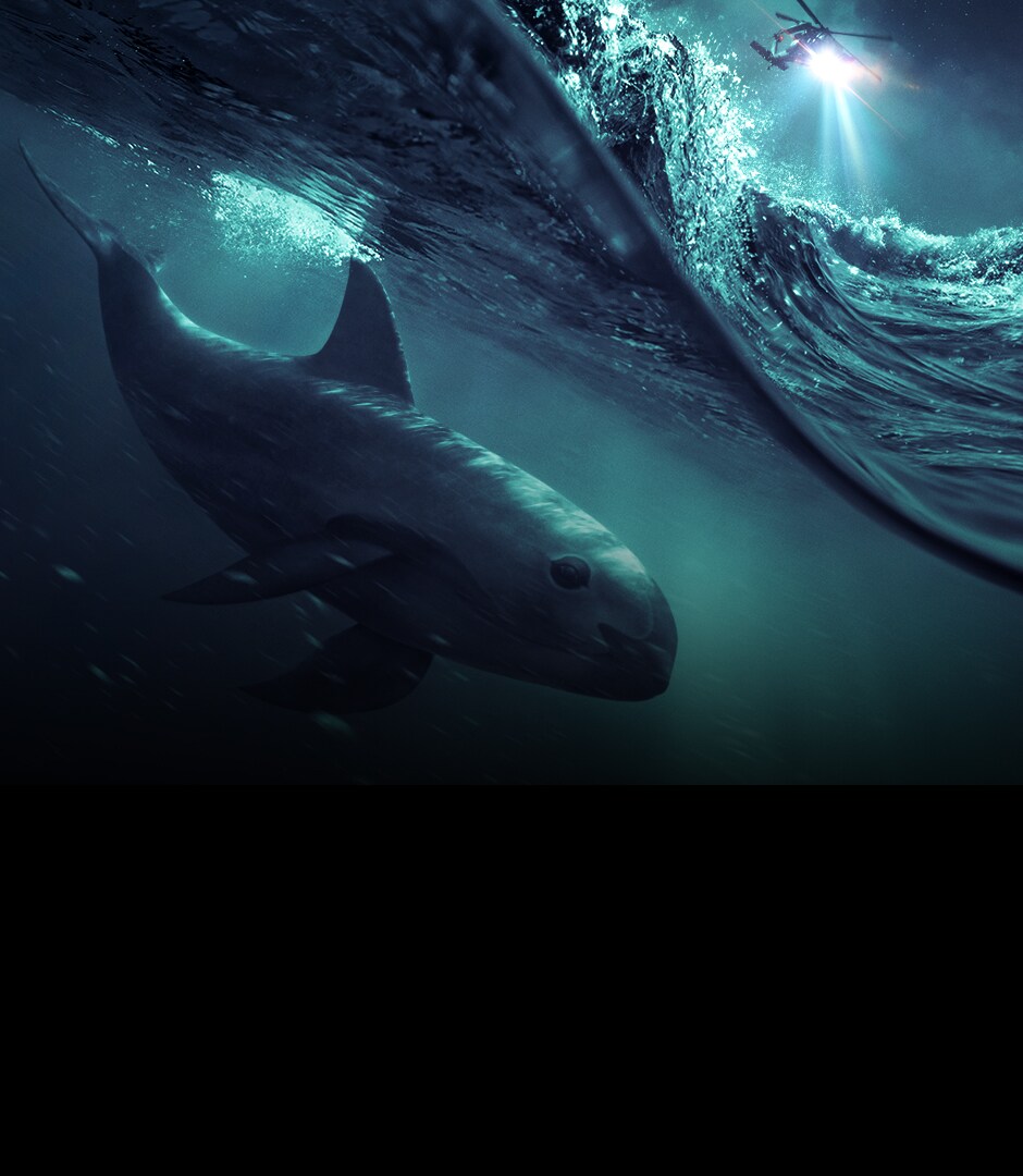 National Geographic Documentary Films