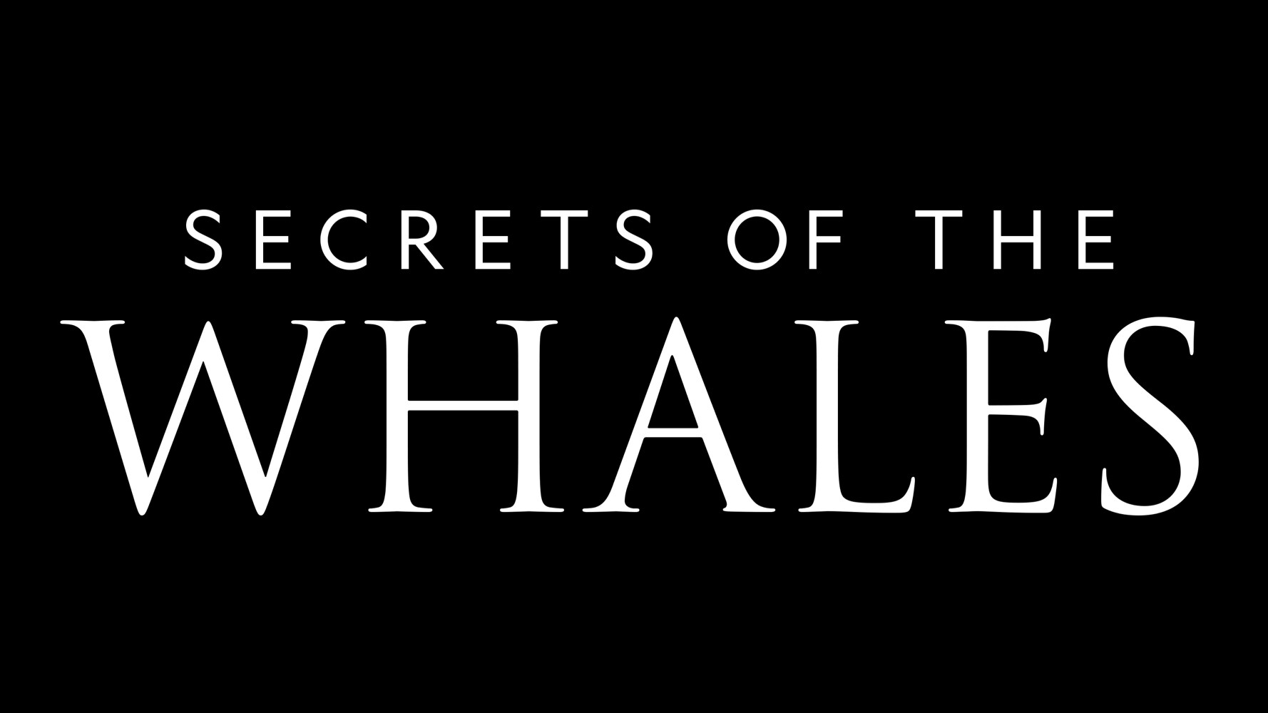 Secrets of the Whales Logo