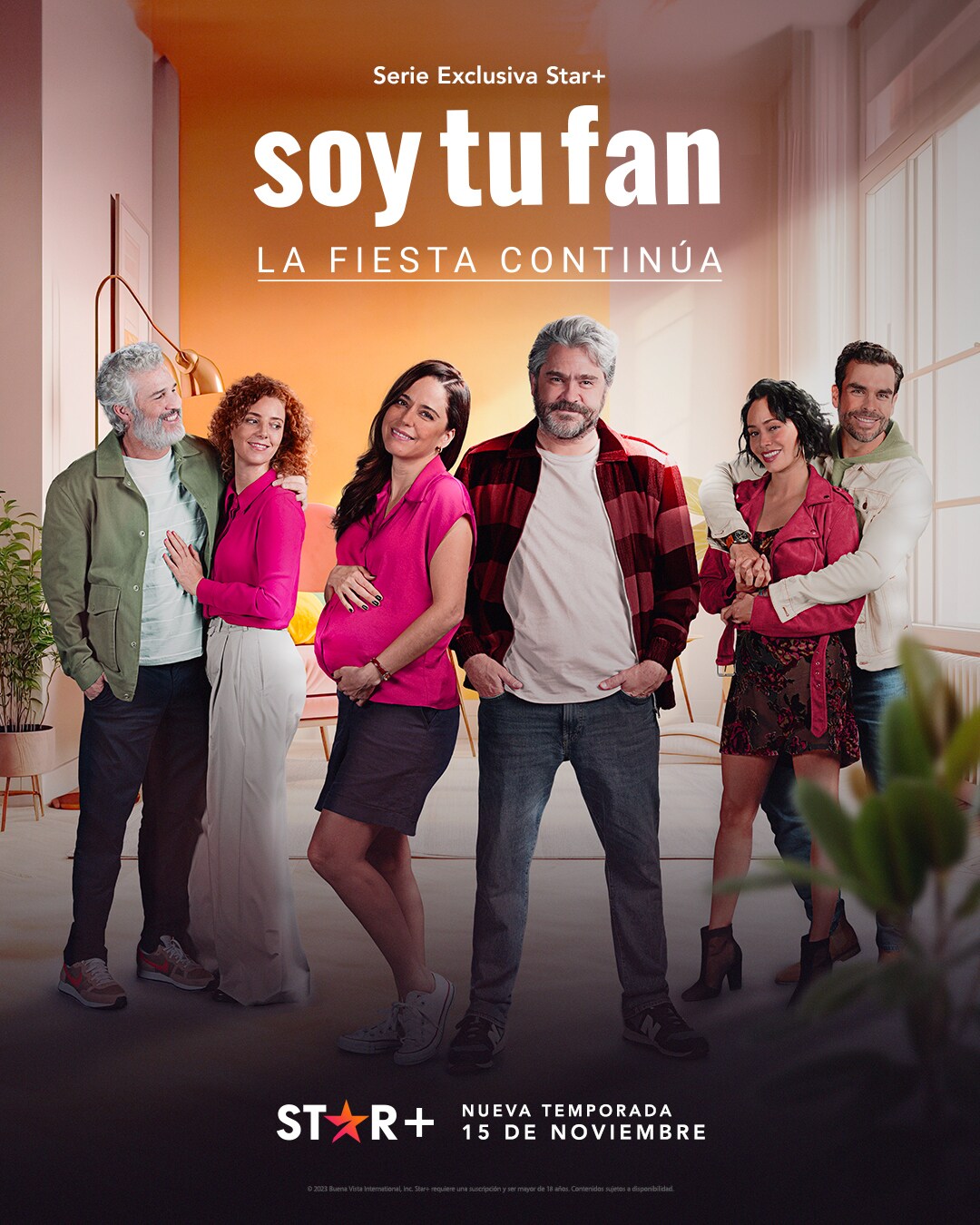 Soy tu fan. Poster.