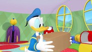Donald's Special Delivery