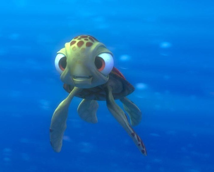 finding nemo squirt quotes