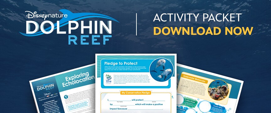 Disneynature's Dolphin Reef - Activity Packet - Download Now