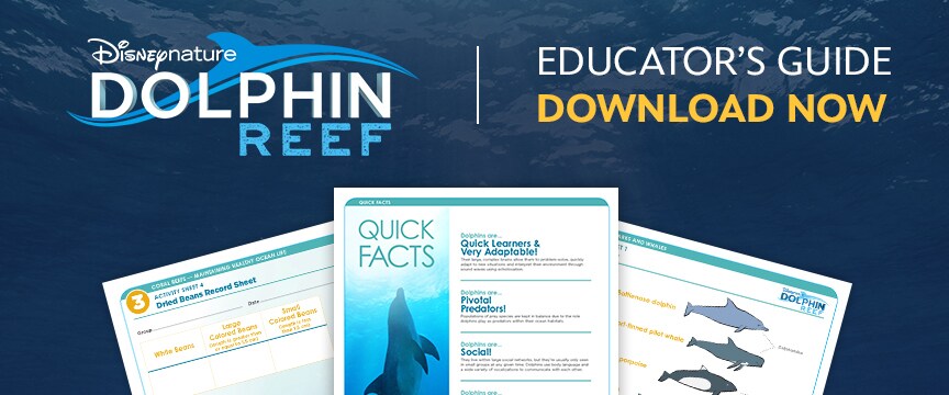 Disneynature's Dolphin Reef - Educator's Guide - Download Now