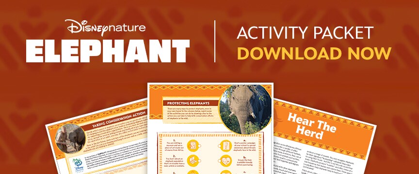 Disneynature Elephant - Activity Packet - Download Now