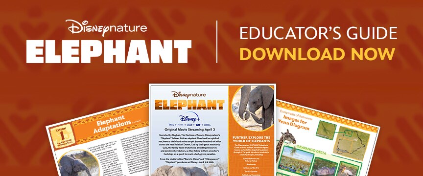 Disneynature Elephant - Educator's Guide - Download Now