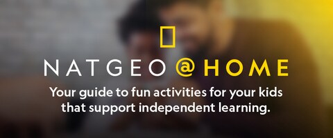 NatGeo @ Home - Your guide to fun activities for your kids that support independent learning.