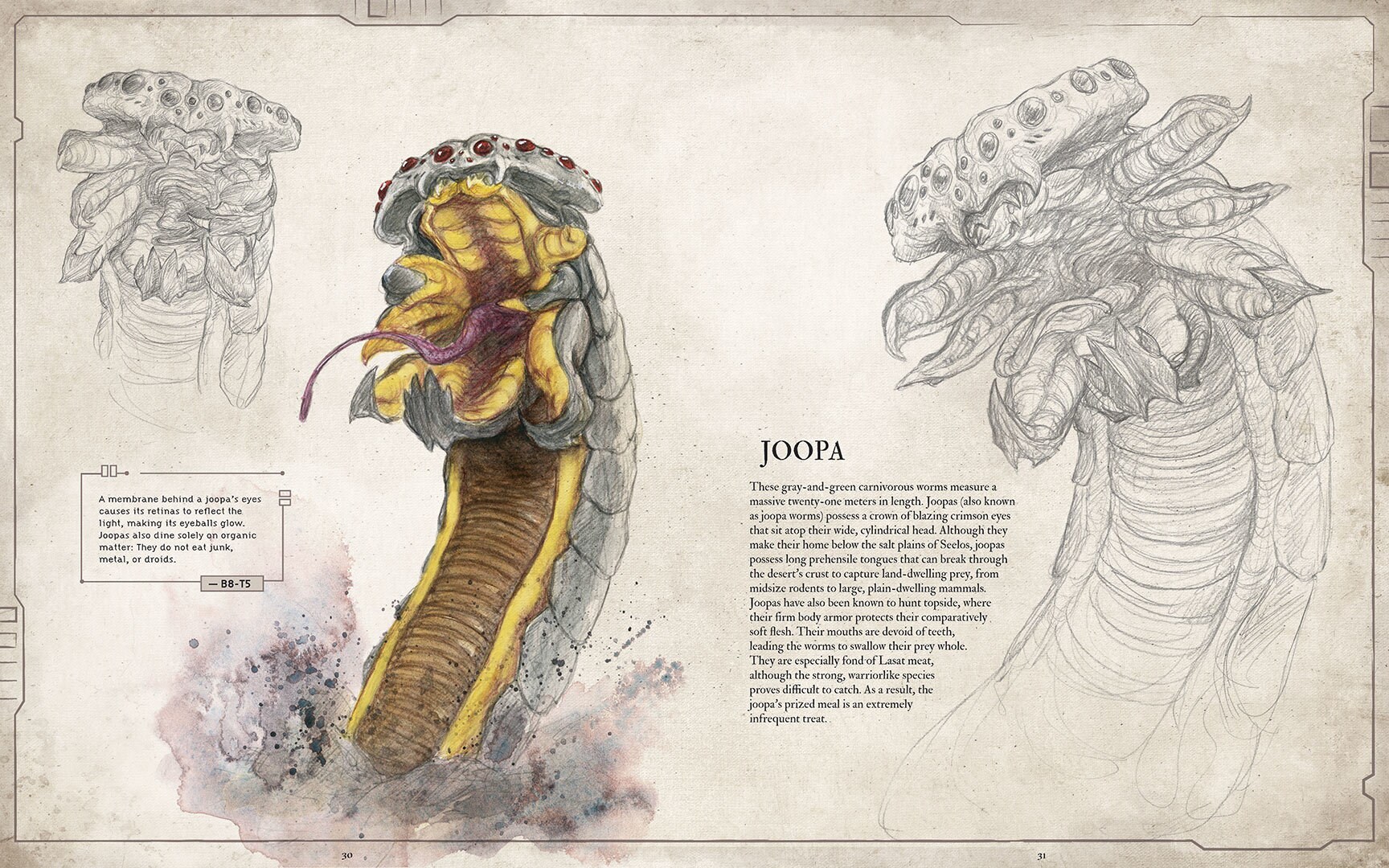 star-wars-bestiary-art-reveal-swbestiary-03_46d518ff.jpeg