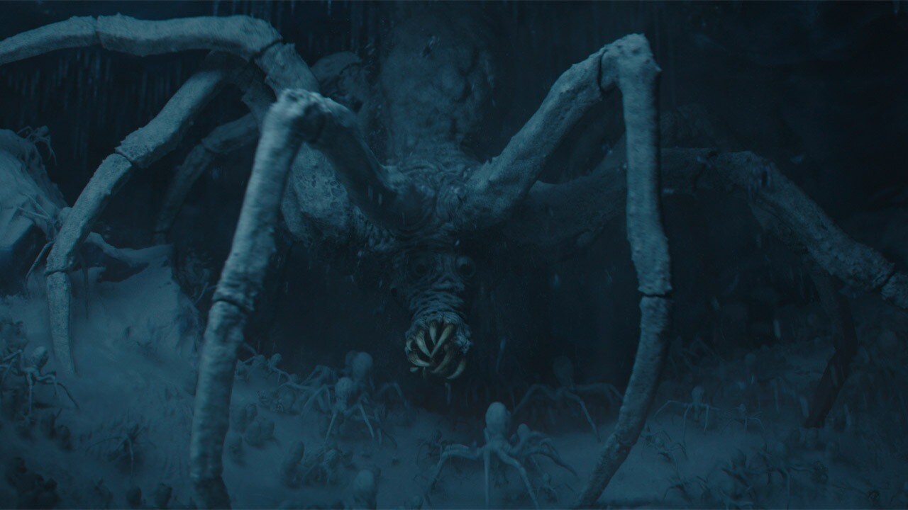 Scary Creature Scary Creature