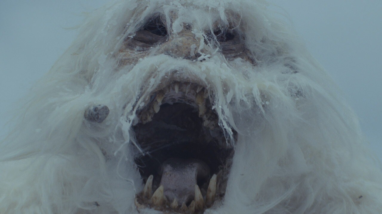 Wampa roaring