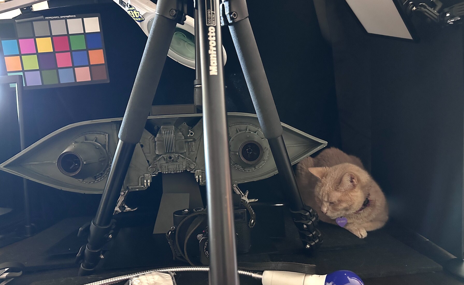 The miniature inside the light tent…and Buddy the cat.