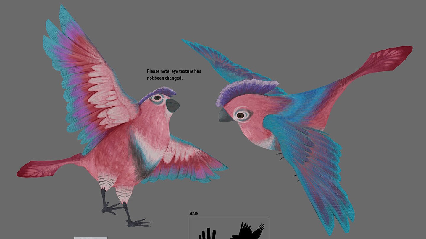 Lau bird concept art by Vivian Ly
