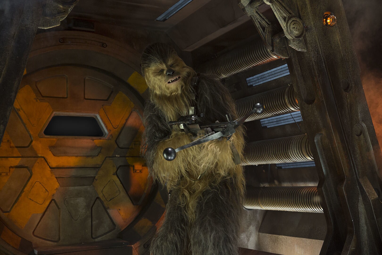 Chewbacca in Star Wars: The Force Awakens.