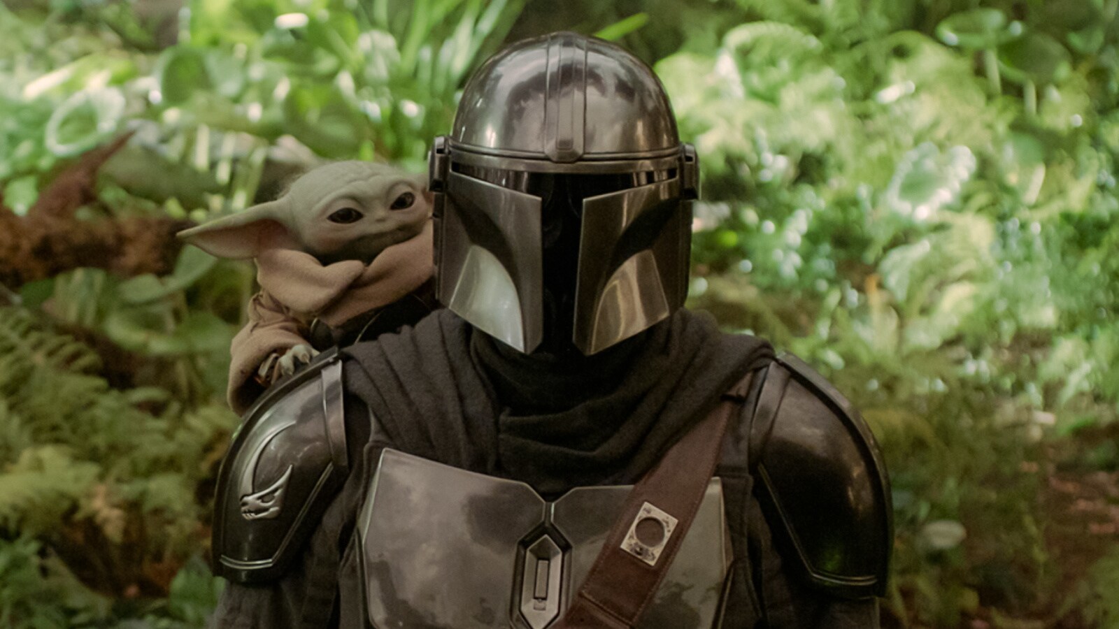 Star Wars Movies | StarWars.com
