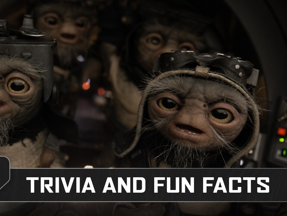 Star Wars: The Mandalorian and Grogu - Trivia | StarWars.com