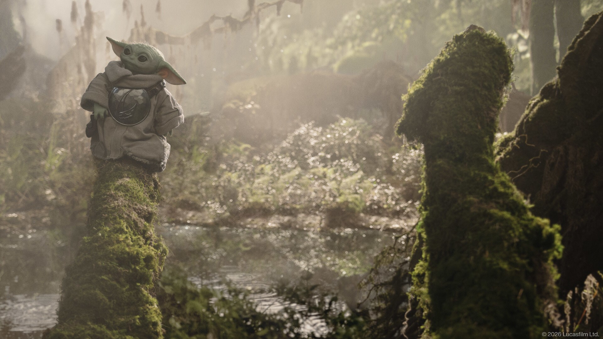 Grogu in Star Wars: The Mandalorian and Grogu.