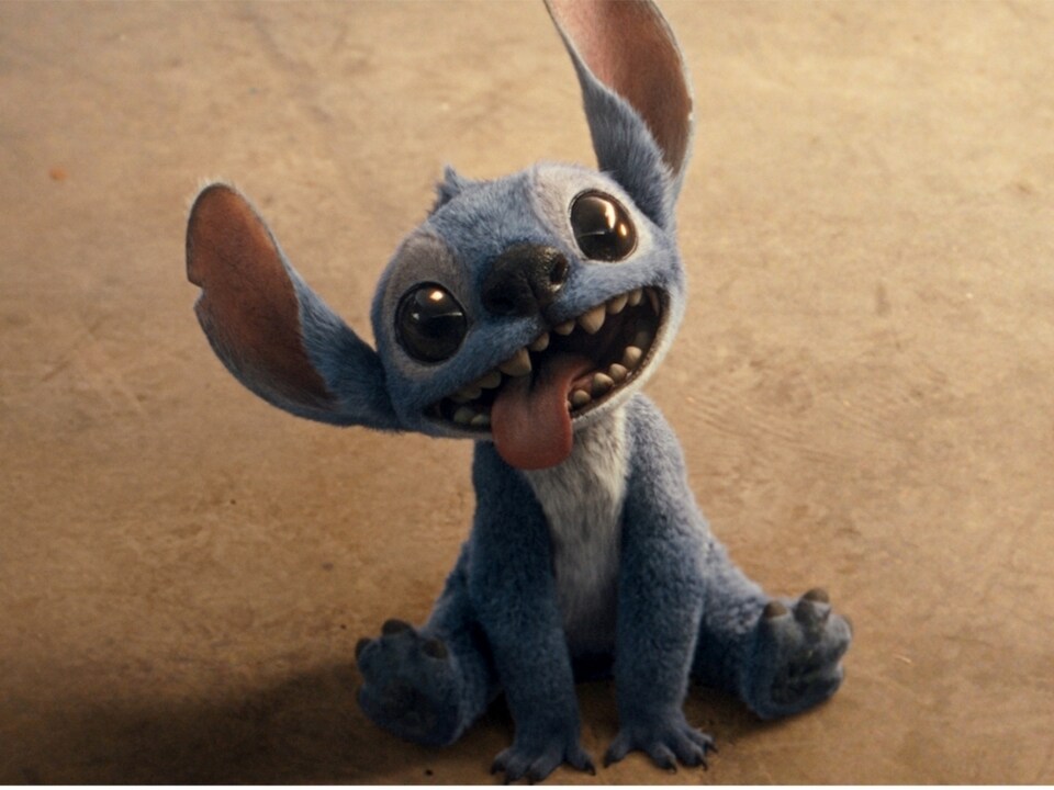 スティッチ リロイ stitch ディズニー パリ Disney キャラクター スティッチ｜ディズニー公式