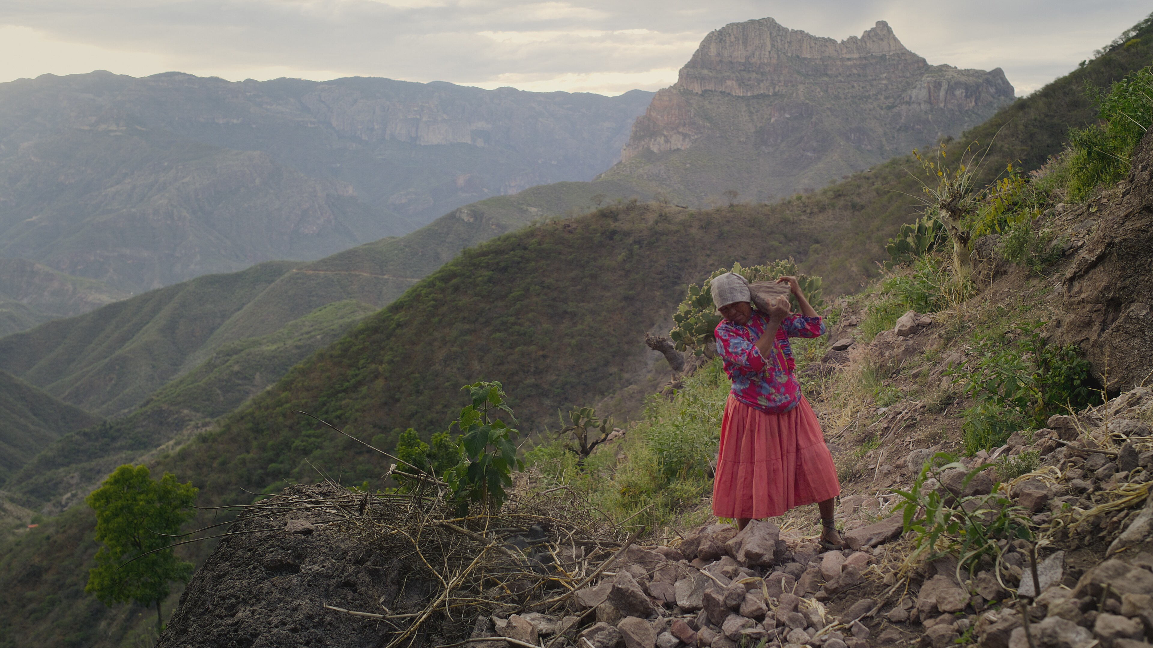 A Raramuri woman carries wood. (National Geographic for Disney+)