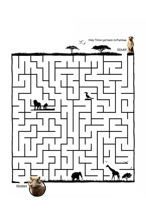 A Lion King themed maze