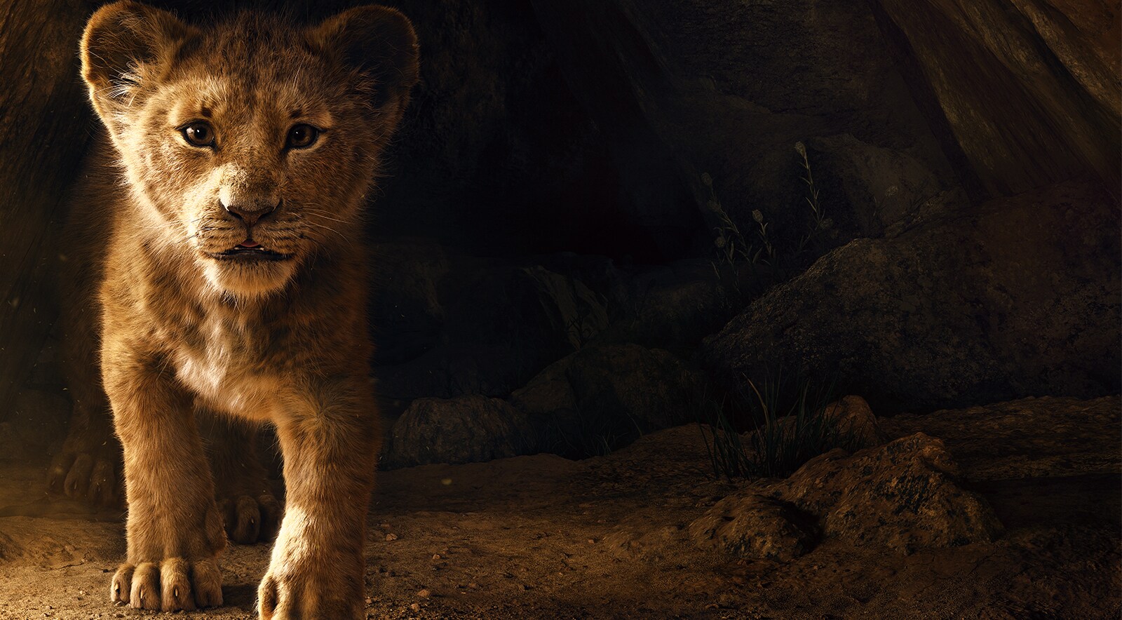 The Lion King | Synopsis