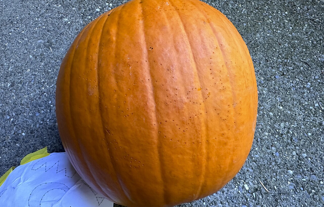 Step 5: Remove the template. You should see the stencil traced in dots on the surface of the pumpkin.