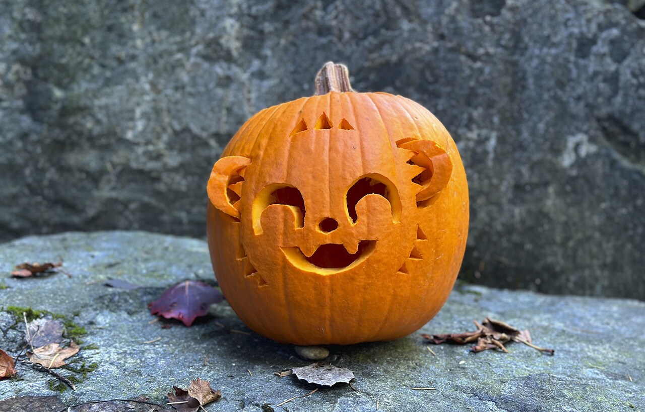 A complete Nubs o’ Lantern.