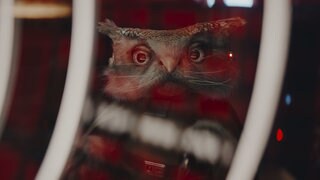 “Very Interesting, As an Astrogation Problem” Episode Guide | Star Wars: Skeleton Crew