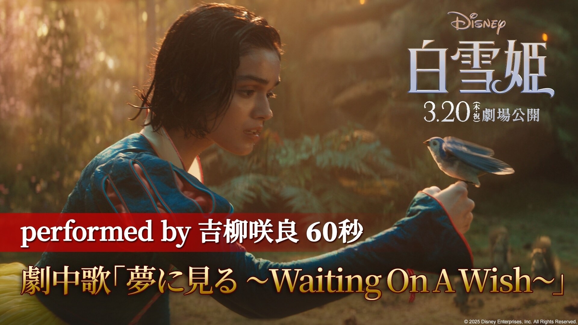 「夢に見る ～Waiting On A Wish～」日本版ミュージックトレーラー60秒
