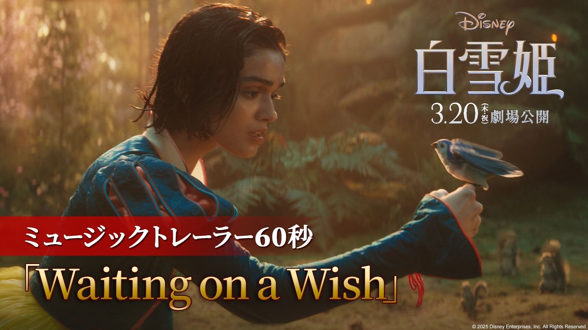 「Waiting on a Wish」ミュージックトレーラー60秒