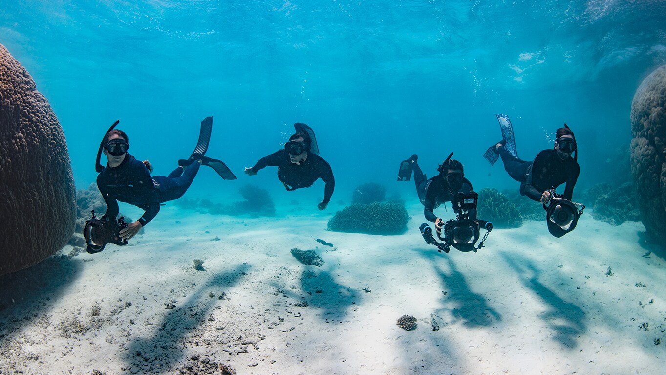 'Shipwreck Hunters Australia' Season 2 to premiere August 27 Exclusively on Disney+
