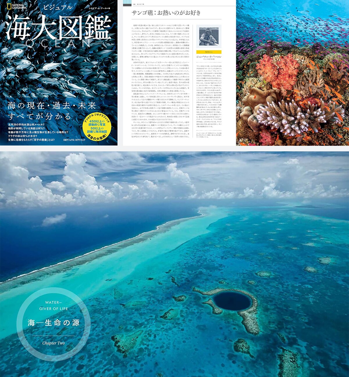 海の第一人者であるシルビア・アールが、科学や歴史、環境、生き物など様々な切り口から海を縦横無尽に語り尽くす渾身の大図鑑「OCEAN ビジュアル海大図鑑」