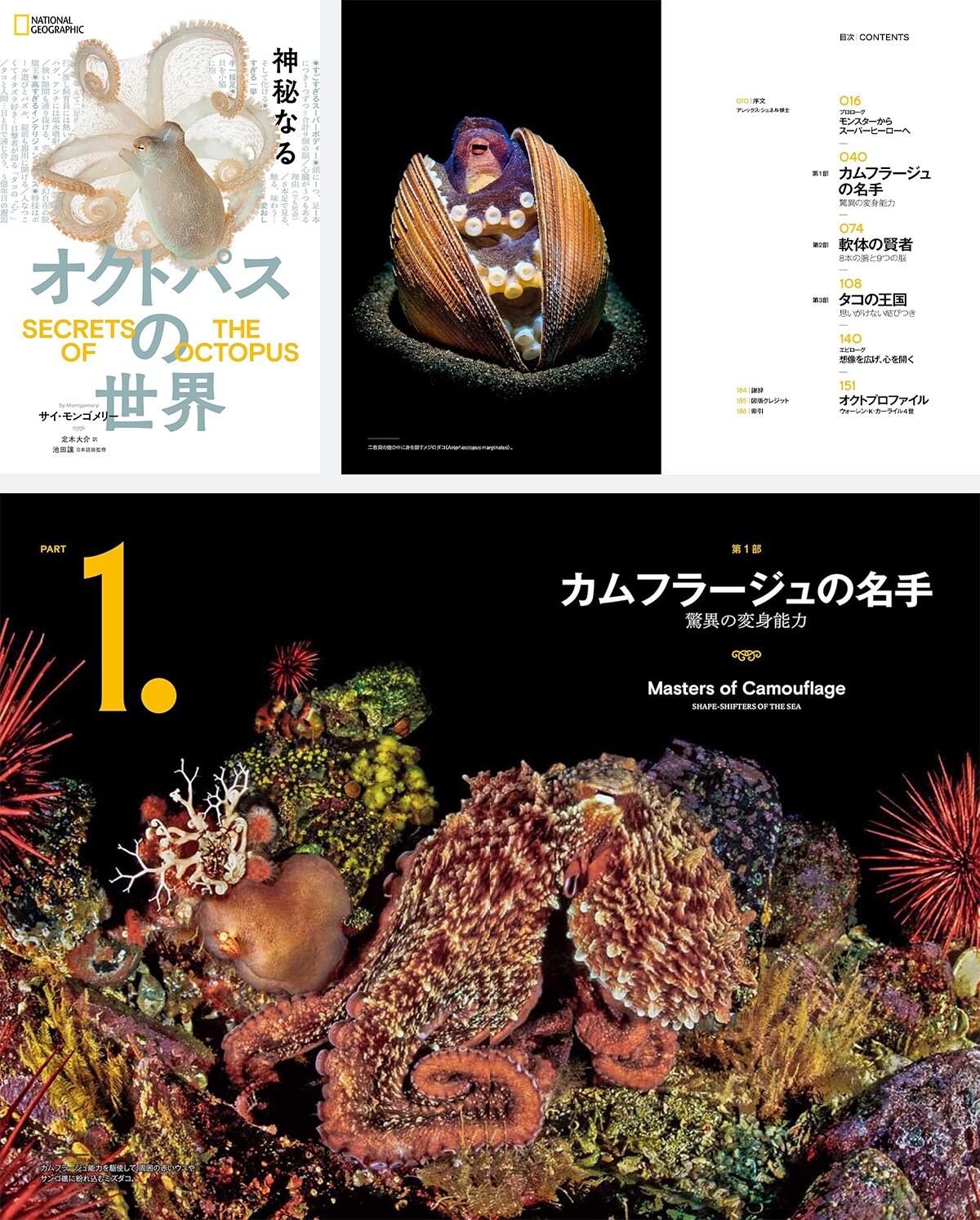 生物界を超え、AIからロボット工学まで、あらゆるジャンルの研究者から熱い視線を浴びる、タコ研究の最前線!「神秘なるオクトパスの世界」