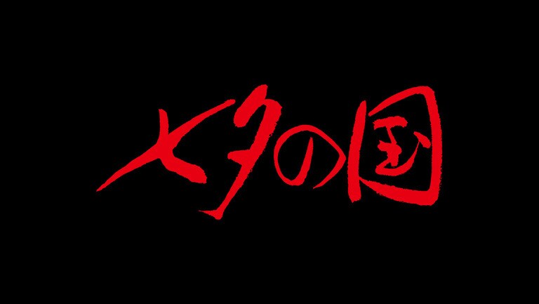 Amazon.co.jp: ガンニバル (13)完 (ニチブンコミックス) : 二宮