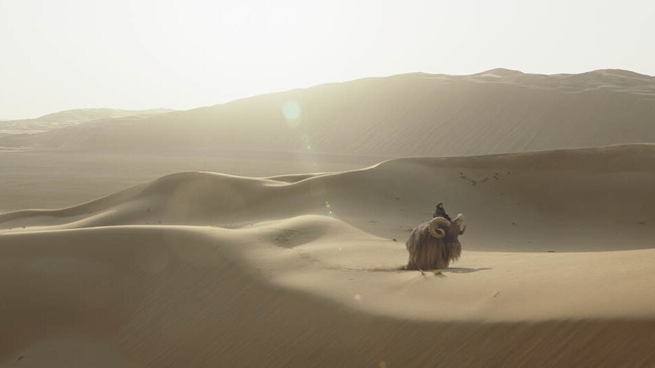 Duel on Tatooine, Wookieepedia