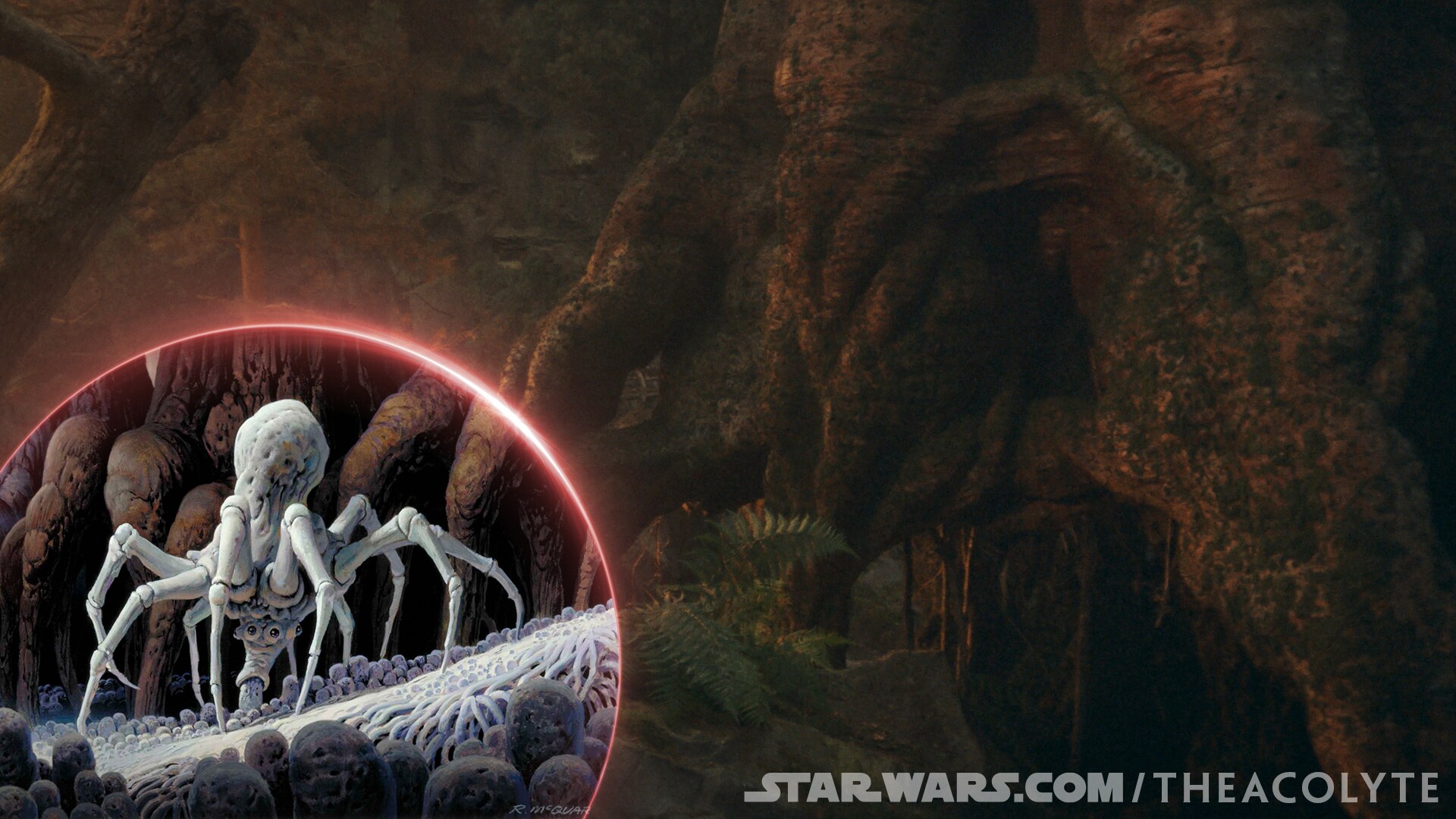 The design of the tree roots in the forest was influenced by a few Ralph McQuarrie paintings, inc...