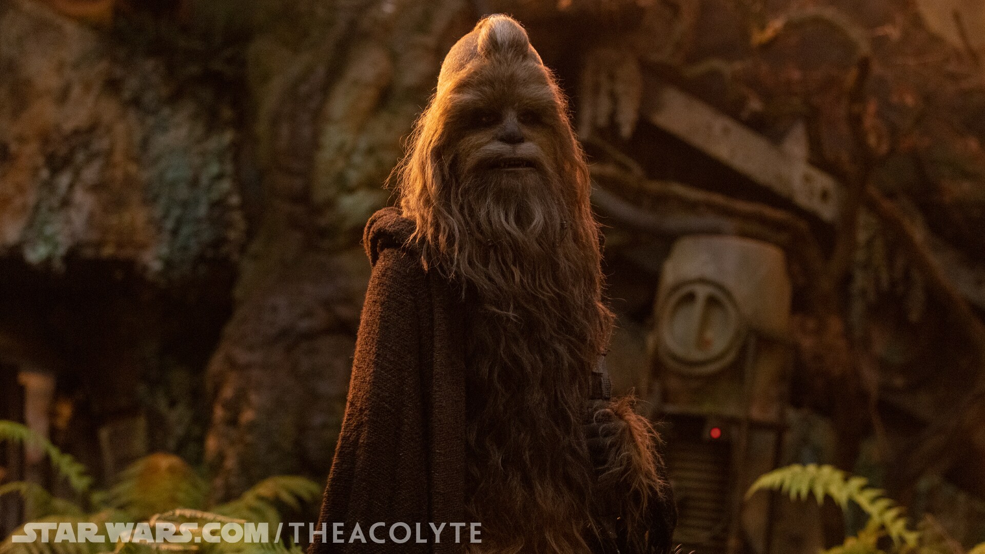 Early versions of the story had Kelnacca hiding on the Wookiee homeworld of Kashyyyk. Instead, th...