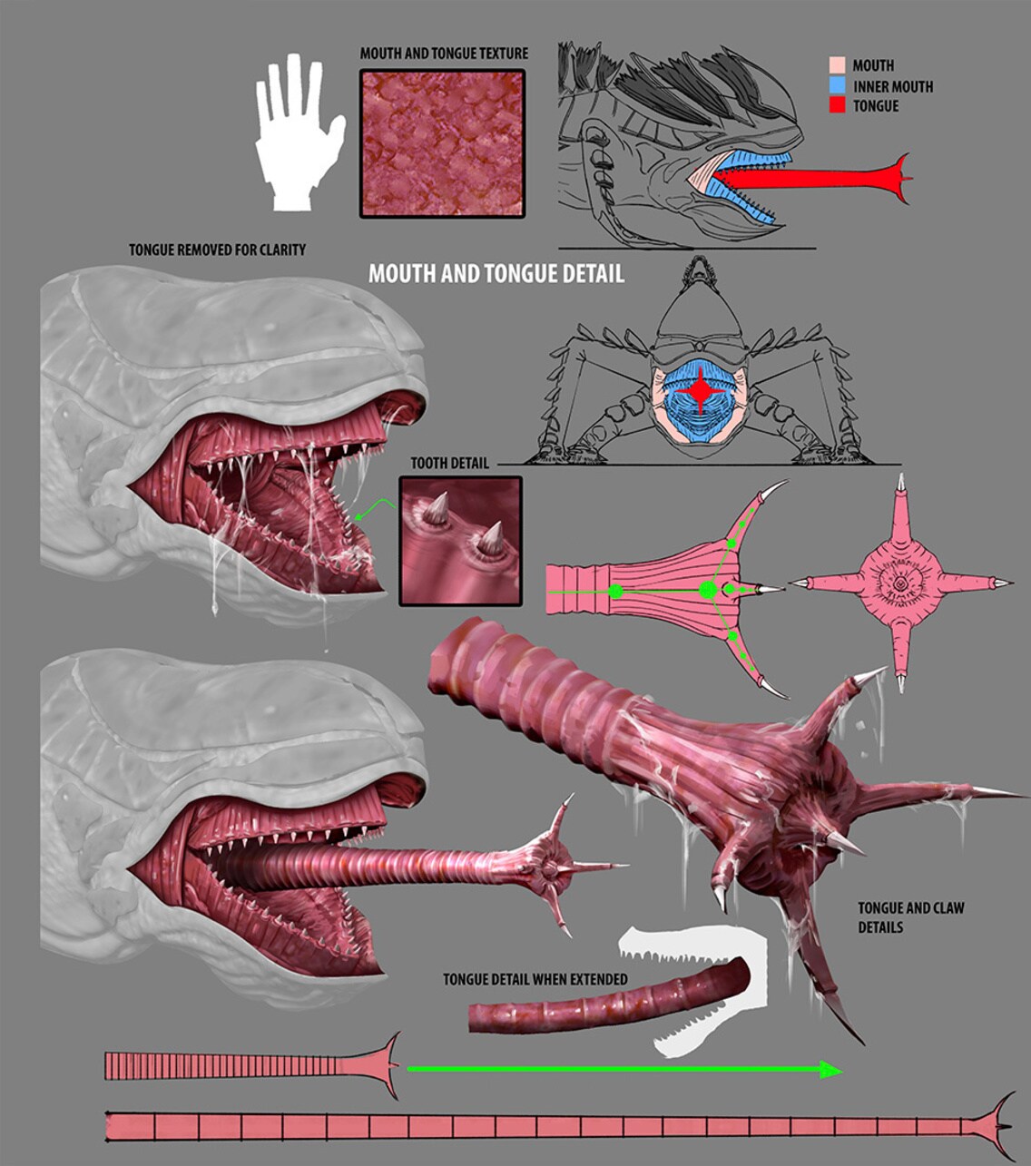 Metamorphosis Concept Art Gallery, The Bad Batch