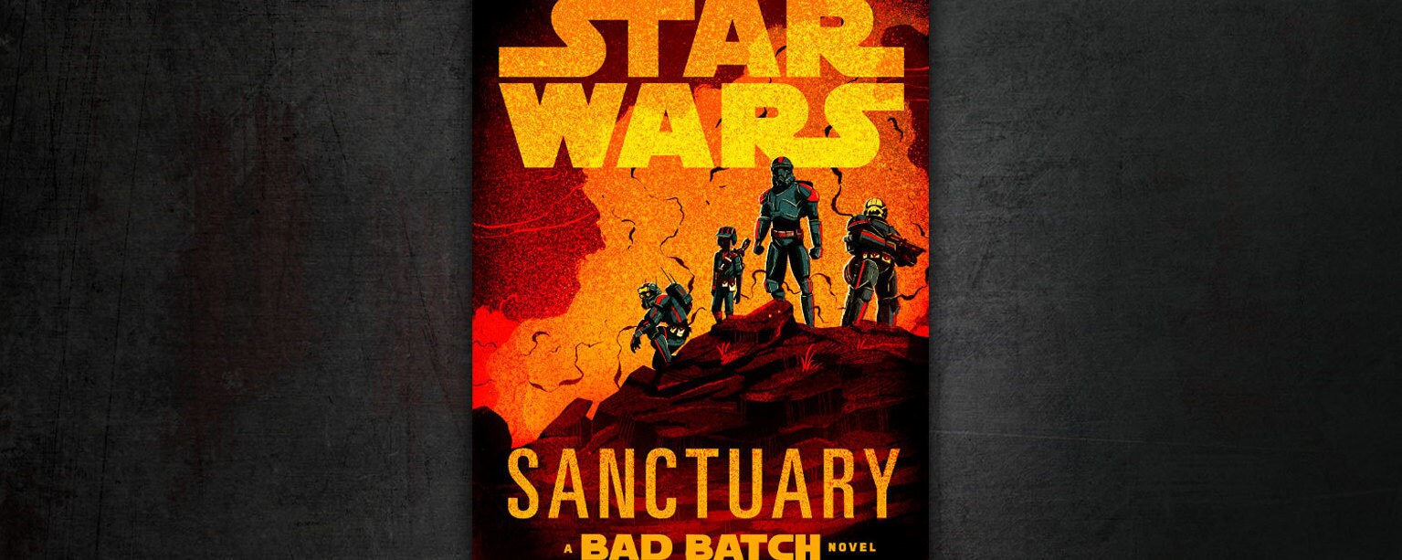 Star Wars: Sanctuary cover