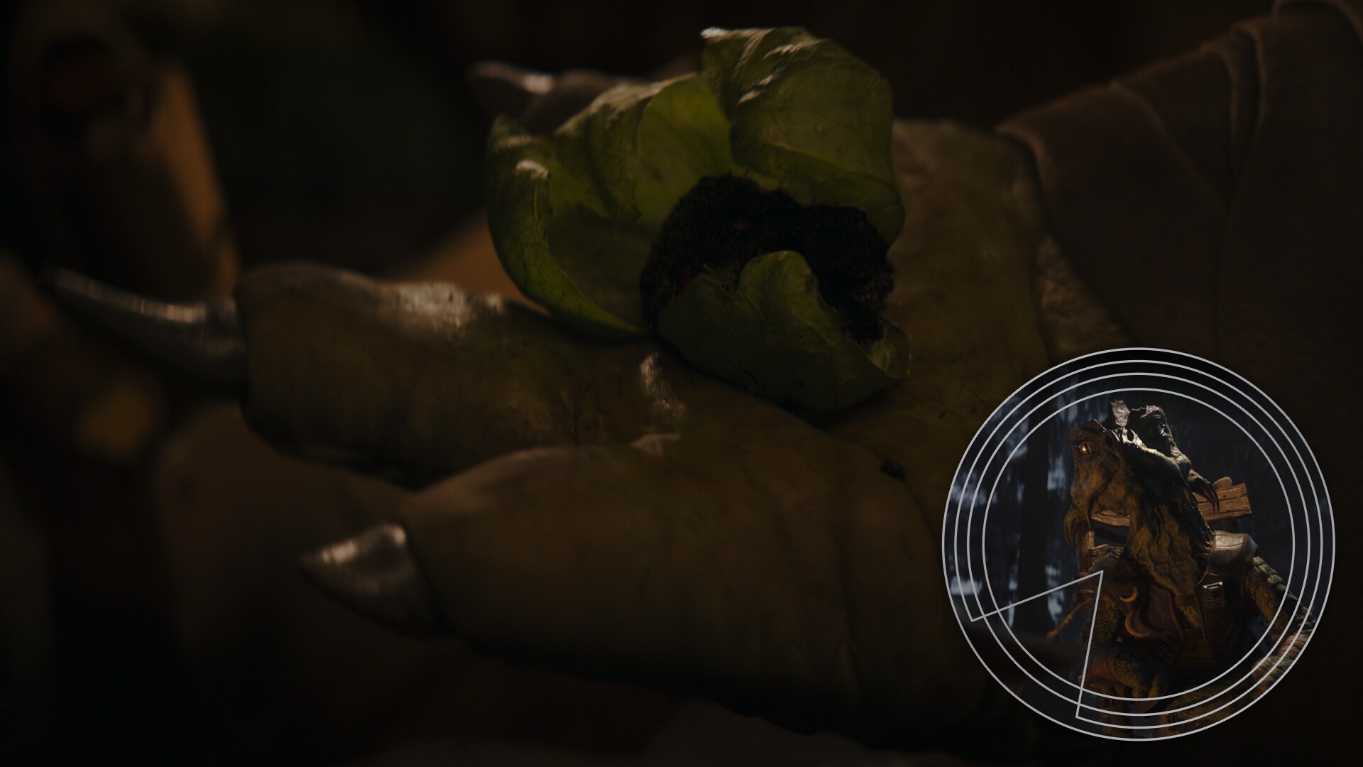 A close up on Gatori's hands.