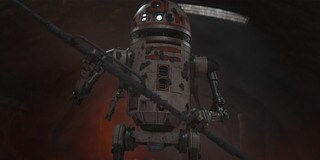 Bounty Puck: Chapter 8 Trivia Gallery