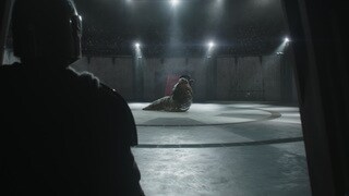 the Pits