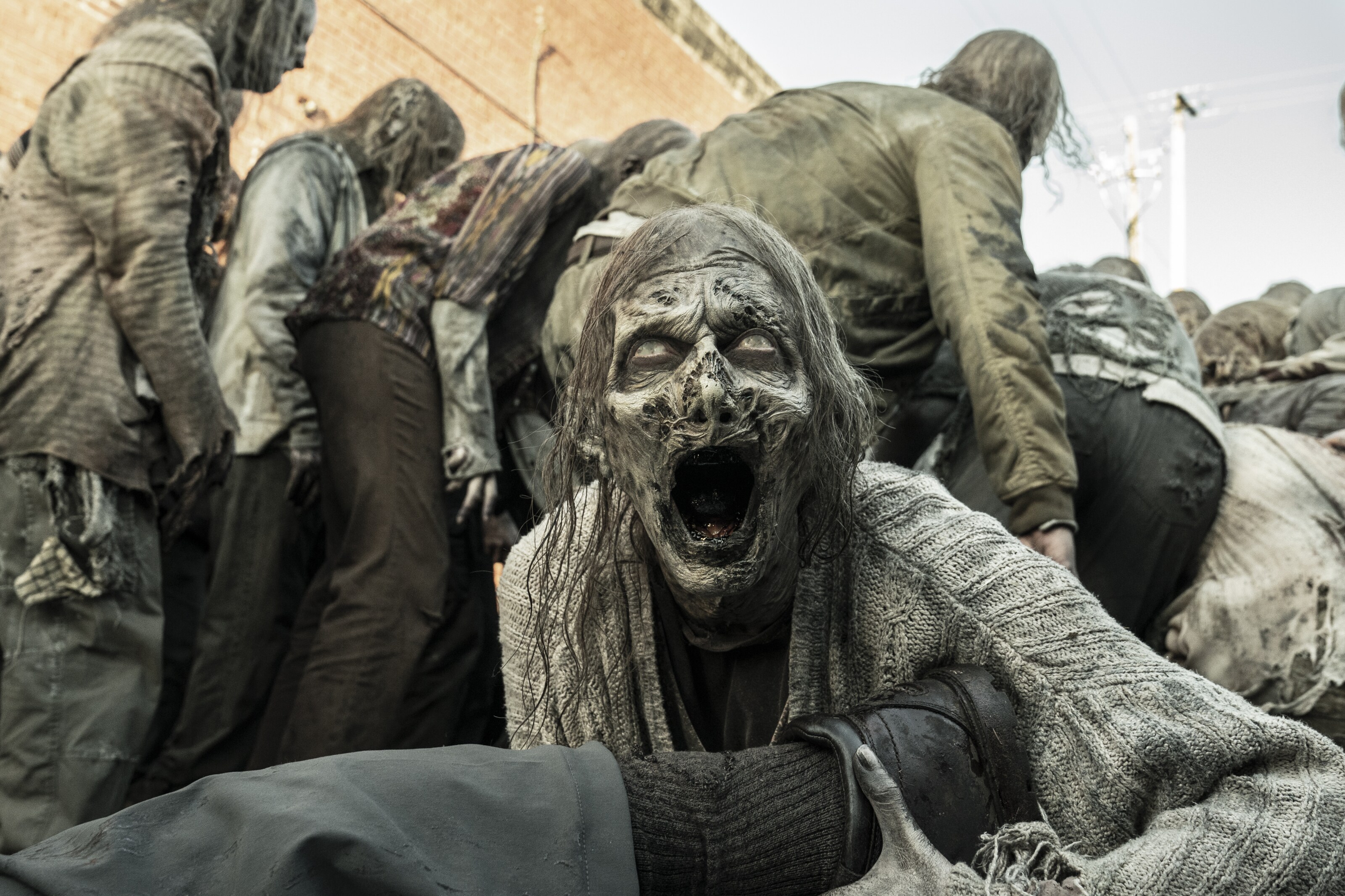The Walking Dead The Walking Dead