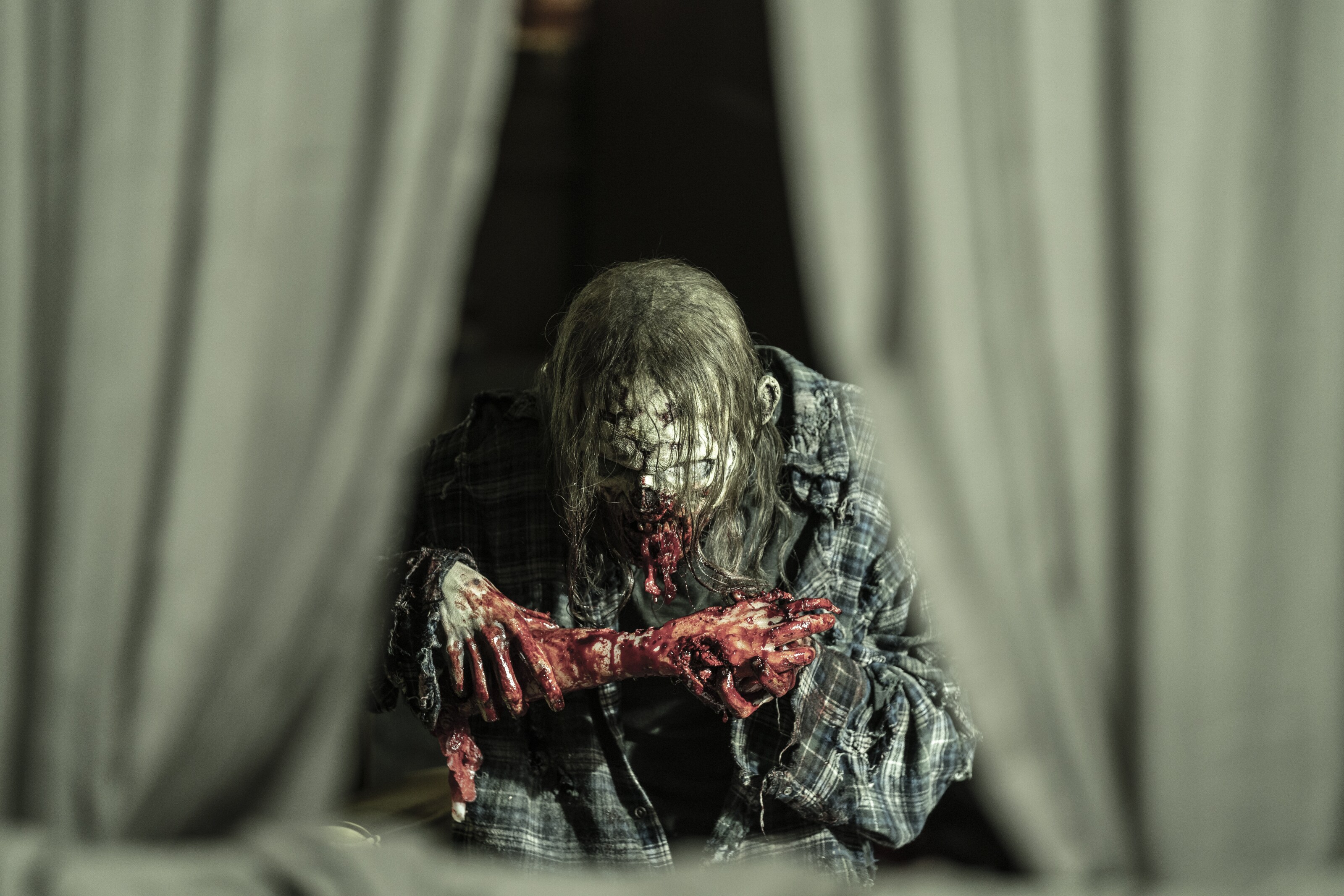 The Walking Dead 