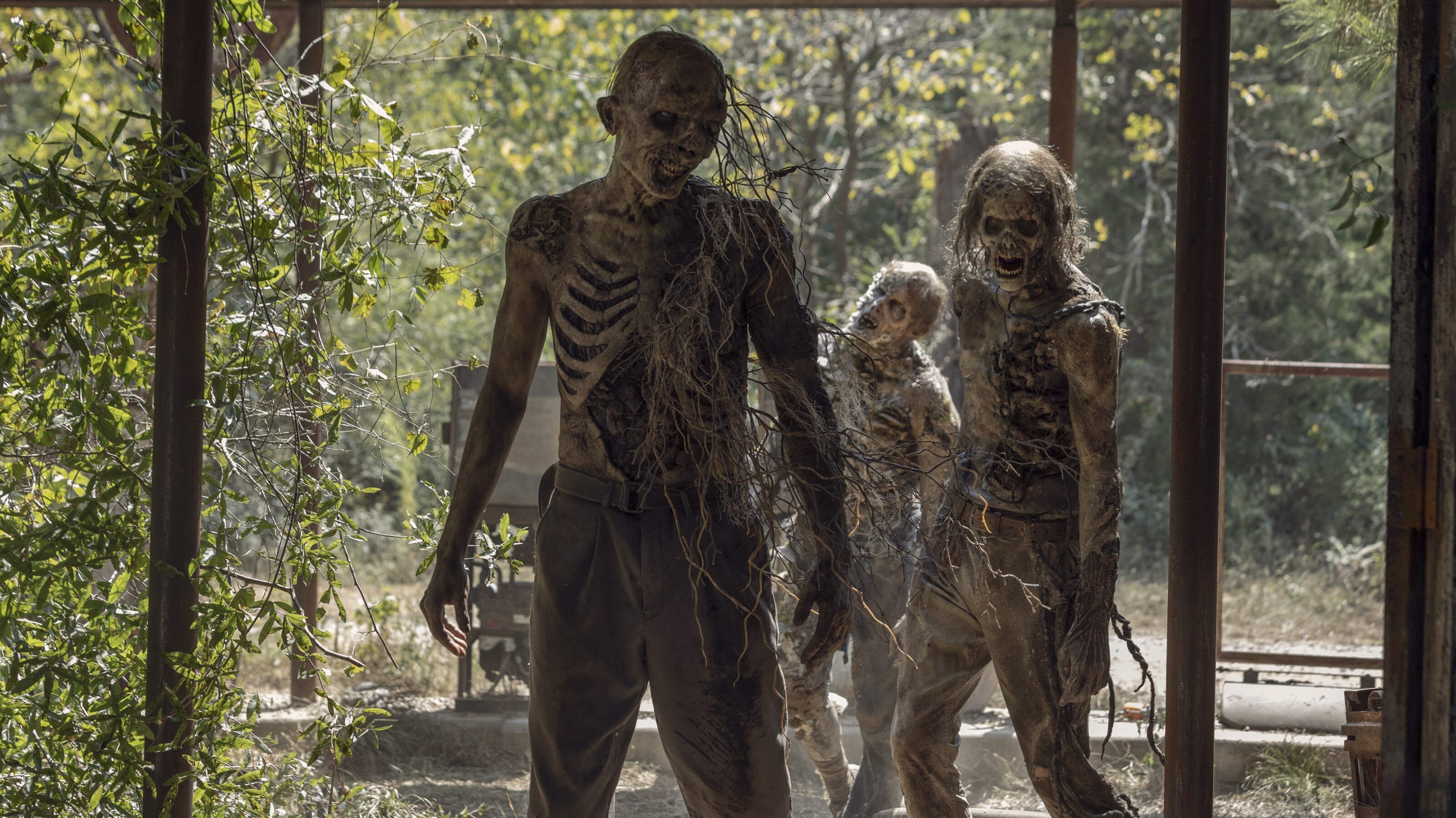 Las 5 series y películas apocalípticas para ver después del final de The Walking Dead