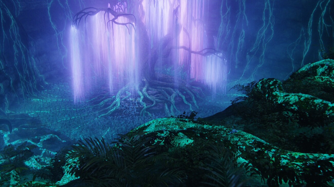 The Willow Glade, at night, the Tree of Souls shines brightly.