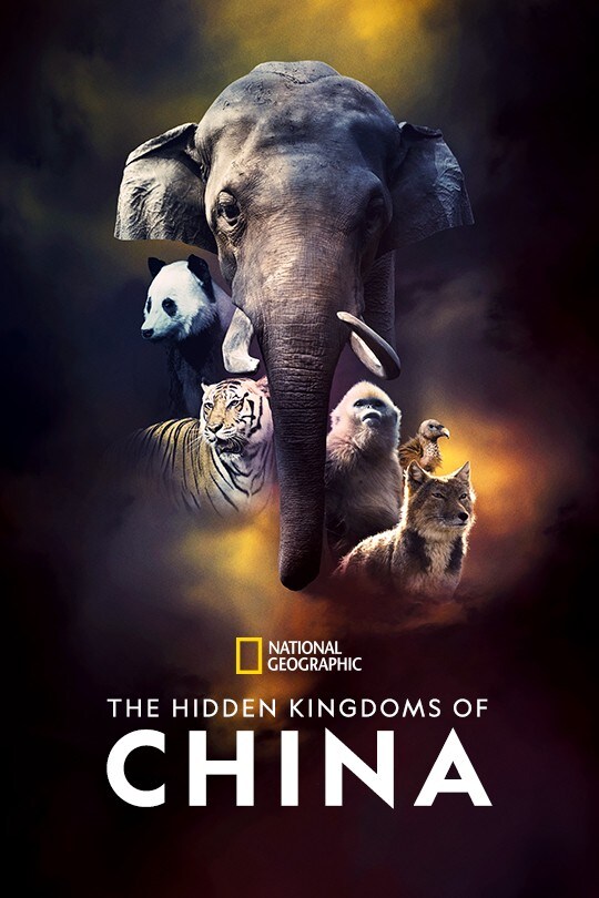 The Hidden Kingdoms of China | Poster Artwork | OnDisney+