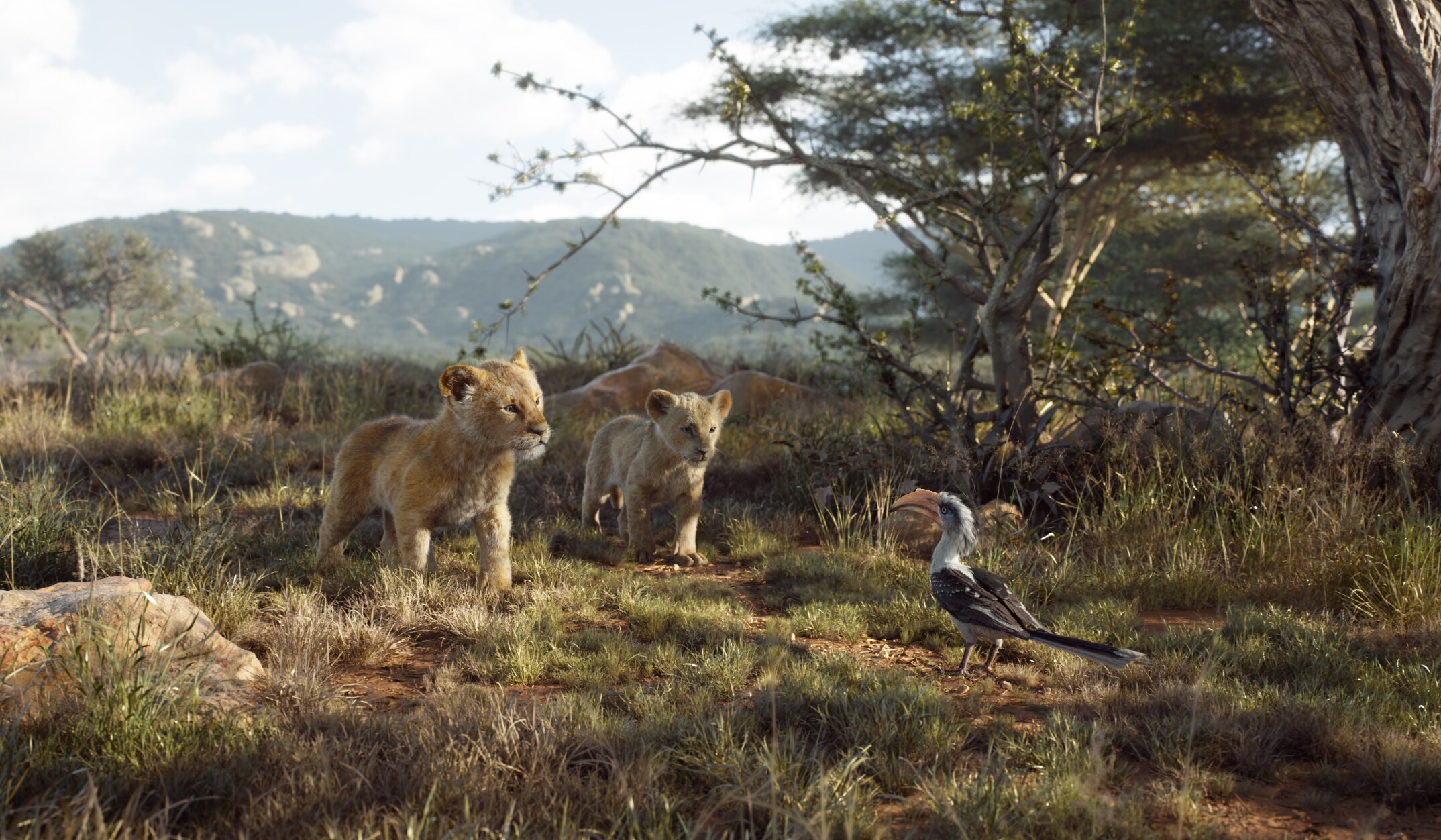 simba, nala, and zazu