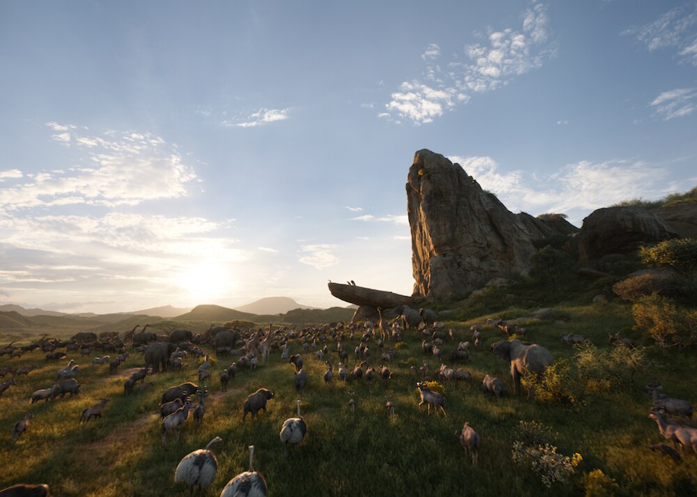 animals gathering at pride rock